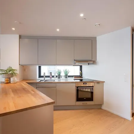 Dinbnb 800m To C Station L 133sqm L High-end *